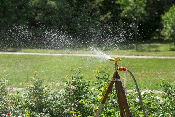 Aspersor de jardín sobre el fondo blanco —  Fotos de Stock