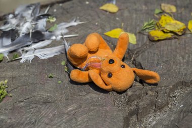 Beyaz arka planda oyuncak