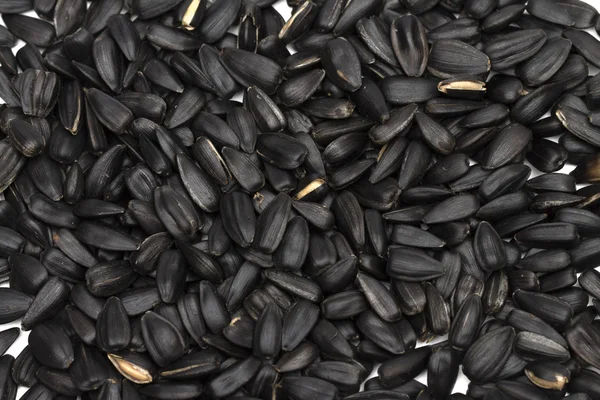 Seeds on the white background — Stock Photo, Image