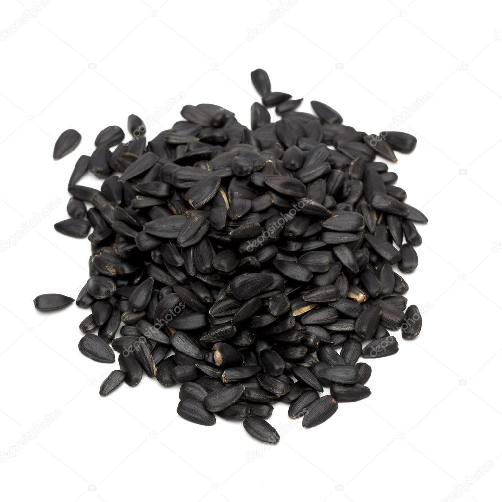 Seeds on the white background