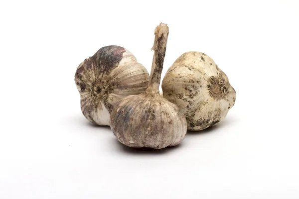 Garlic on the white background — Stock Photo, Image