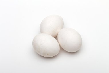 Beyaz arka plan üzerinde yumurta