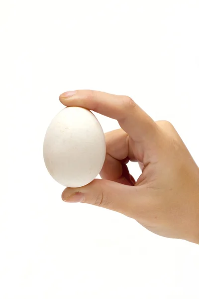 Huevo en el fondo blanco —  Fotos de Stock