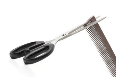 aracı beyaz zemin üzerine