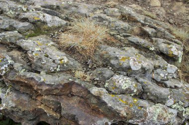Beyaz arkaplanda taşlar