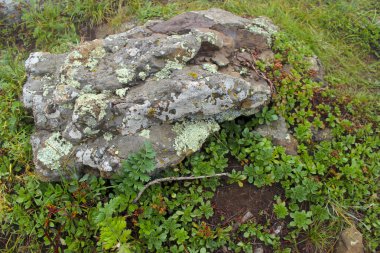Beyaz arkaplanda taşlar