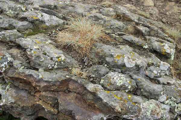 Beyaz arkaplanda taşlar