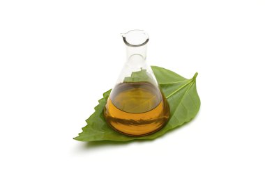 Beyaz arkaplanda taşlar