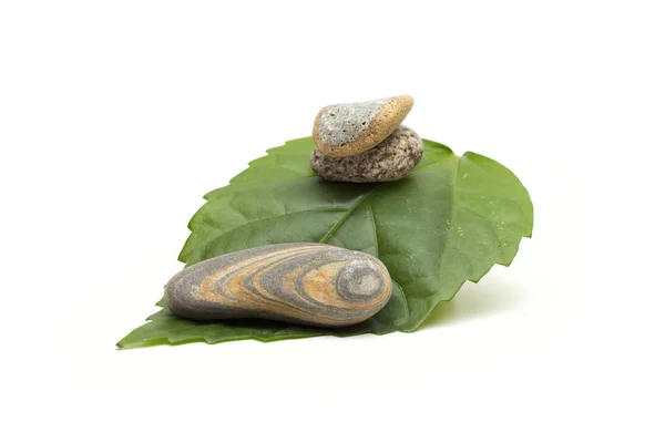 Stones on the white background — Stock Photo, Image