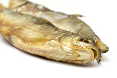 Beyaz arka plan üzerinde kurutulmuş balık