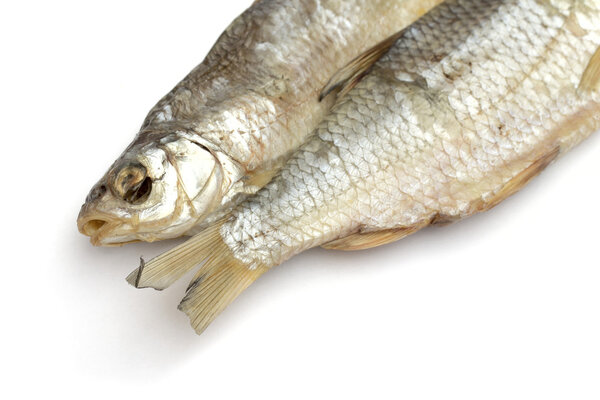 Dried fish on the white background