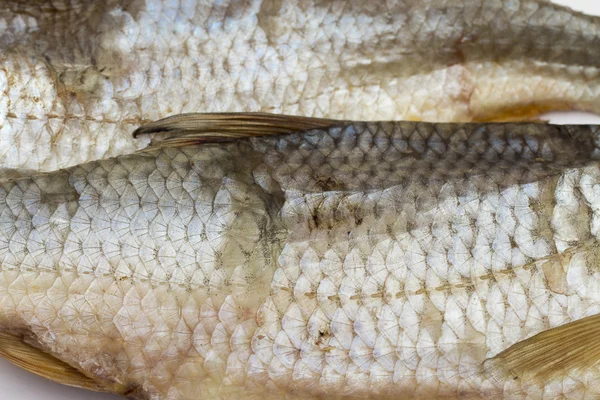 Getrockneter Fisch auf weißem Hintergrund — Stockfoto