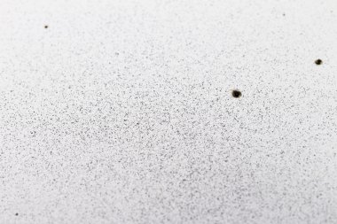 Beyaz zemin üzerine gelin