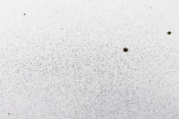 Beyaz zemin üzerine gelin