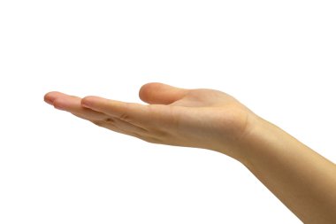 beyaz zemin üzerine el