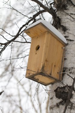 İç içe geçme kutusu beyaz zemin üzerine