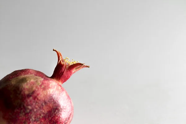 Pomegranate on the white background — Stock Photo, Image