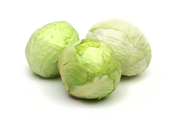 Cabbage on the white background — Stock Photo, Image
