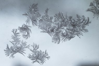 Kış desen beyaz zemin üzerine