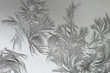 Kış desen beyaz zemin üzerine