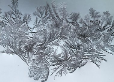 Kış desen beyaz zemin üzerine