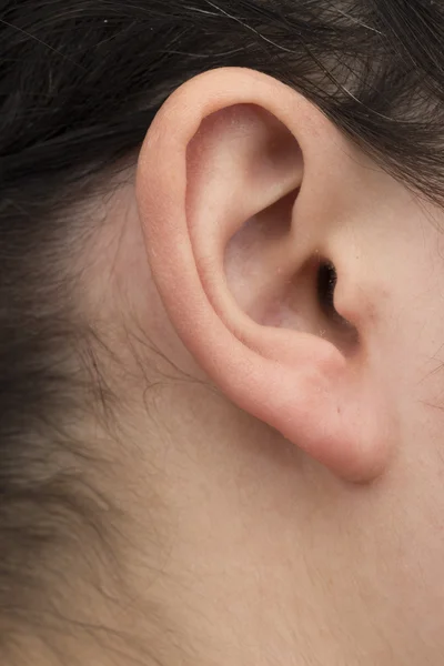 Ear on the white background — Stock Photo, Image