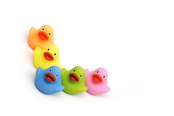 Ducklings on the white background — Stock Photo, Image