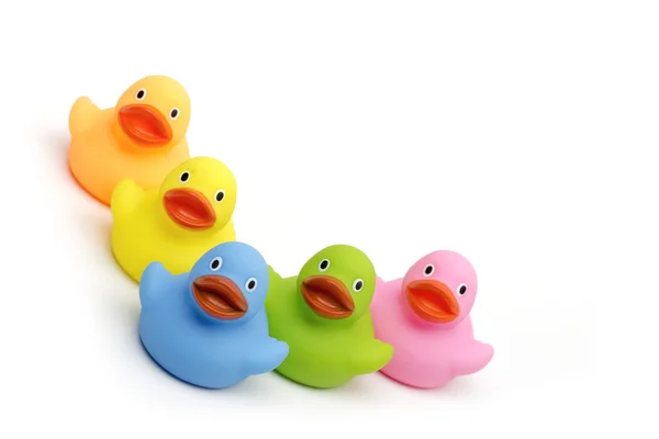 Ducklings on the white background — Stock Photo, Image