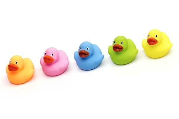 Ducklings on the white background — Stock Photo, Image