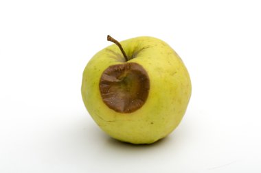 rotten apple on the white background