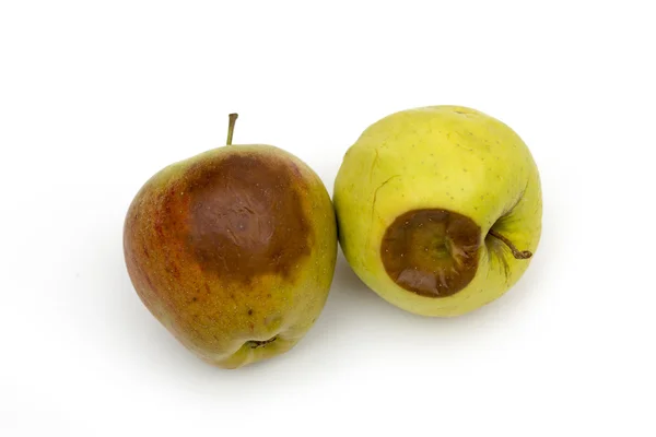 Rotten apple on the white background — Stok fotoğraf