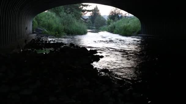 Rivier op de witte achtergrond — Stockvideo