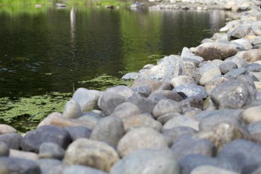 Beyaz arka plan üzerinde Beach