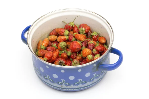 Strawberries on the white background — Stock Photo, Image