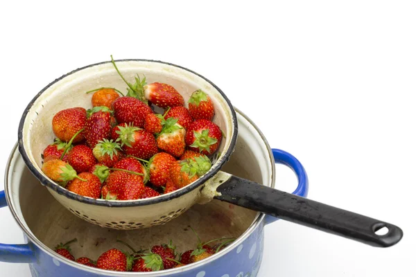 Fresas sobre fondo blanco — Foto de Stock