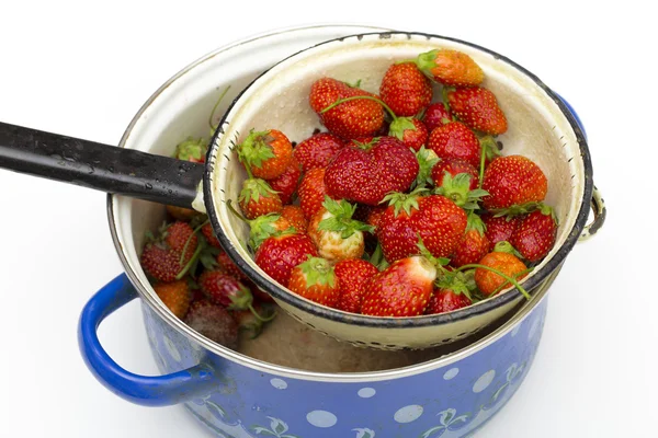 Fresas sobre fondo blanco — Foto de Stock