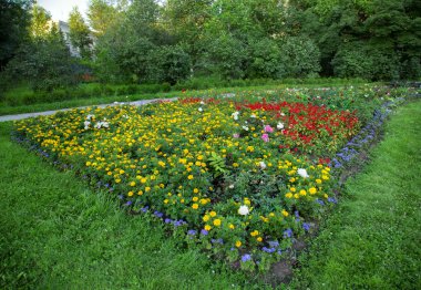 Beyaz arkaplanda çiçekler