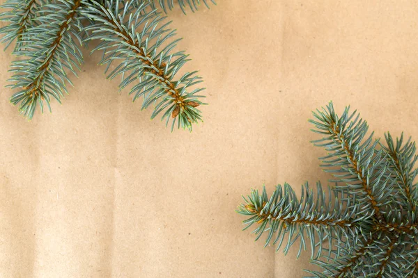 白い背景上にクリスマス ツリー — ストック写真