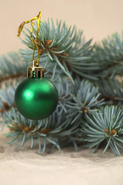 Christmas tree on the white background — Stock Photo, Image
