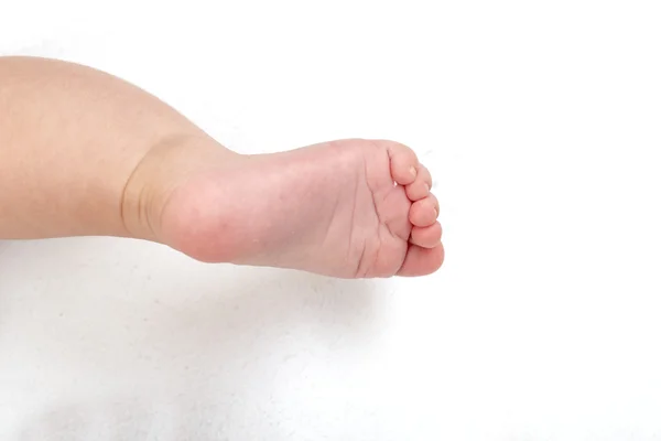 Kids on the white background — Stock Photo, Image