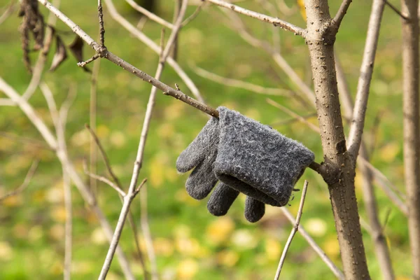 Mitten on the white background — Stock Photo, Image