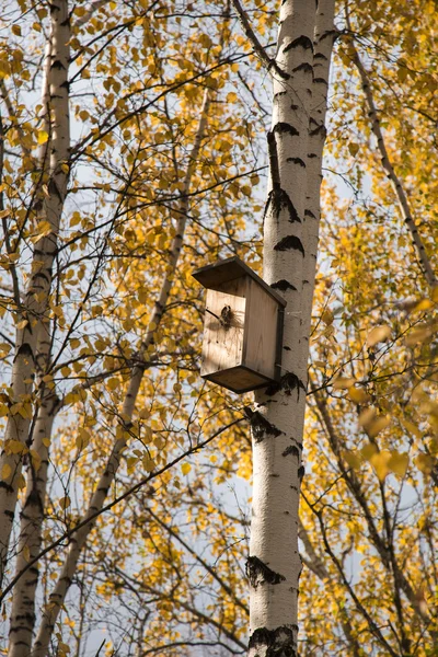 Скворечник на белом фоне — стоковое фото