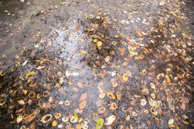 beyaz zemin üzerine bırakır