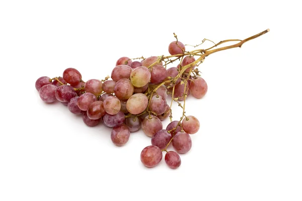 Виноград на белом фоне — стоковое фото