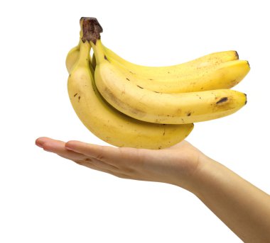 beyaz zemin üzerine el