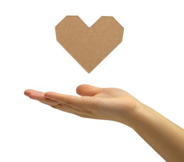 beyaz zemin üzerine el