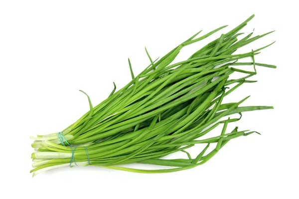 Green onions on the white background — Stock Photo, Image