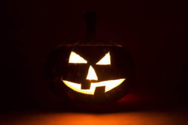 beyaz arkaplanda balkabağı