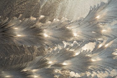 beyaz zemin üzerine desen