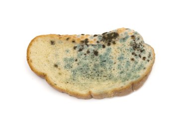 beyaz zemin üzerine ekmek